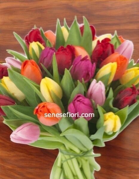  Bouquet di Tulipani Freschi: Colore e Vivacità a Napoli
