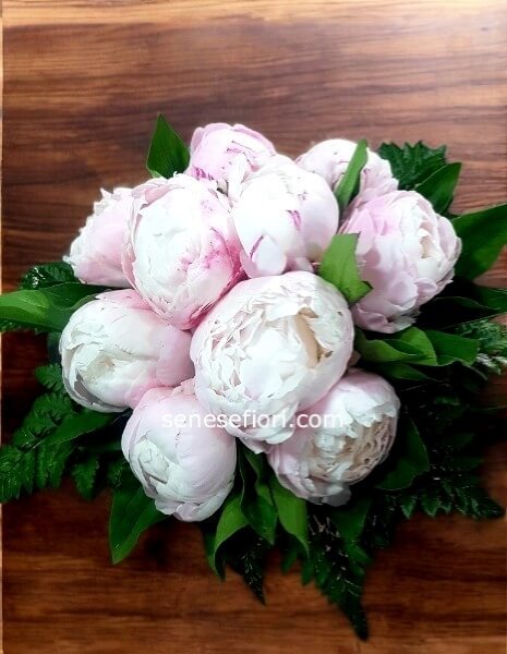 Bouquet di Peonie: L´Eleganza Regale a Domicilio a Napoli