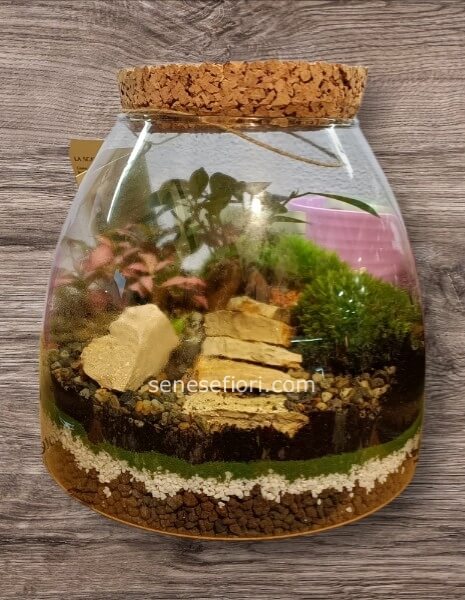 Terrarium "Parigi": L&acute;Eleganza dei Giardini Francesi in Vetro