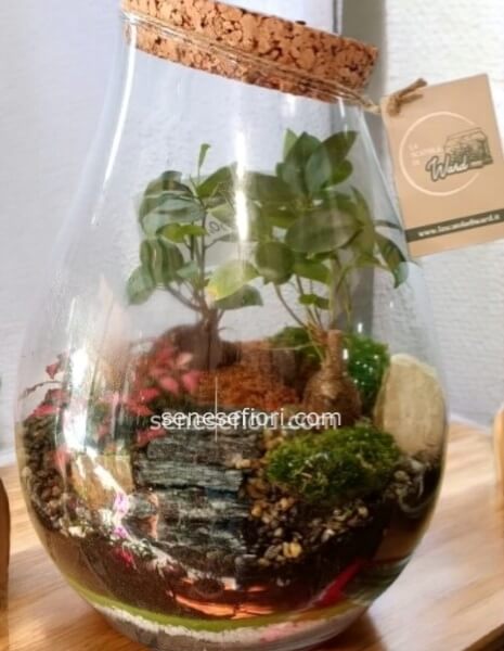 Terrarium "Cambogia": L&acute;Incanto della Giungla Sacra